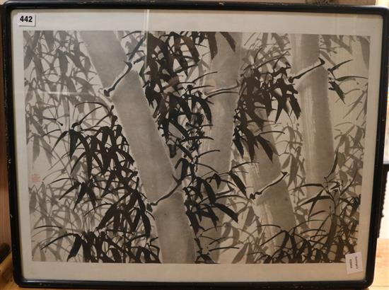 Chinese School Study of bamboo 19 x 25.5in.